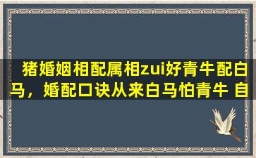 猪婚姻相配属相zui好青牛配白马，婚配口诀从来白马怕青牛 自古白马怕青牛顺口溜